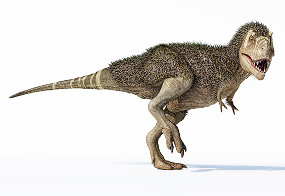 羽毛ティラノサウルス