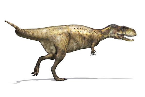 アベリサウルスの画像
