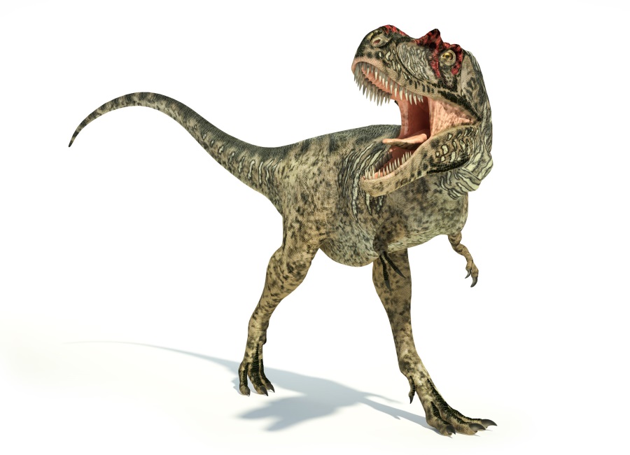 アルバートサウルス Albertosaurus 恐竜図鑑