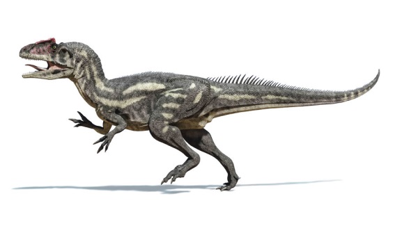 アロサウルスの画像