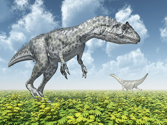 アロサウルスの画像3