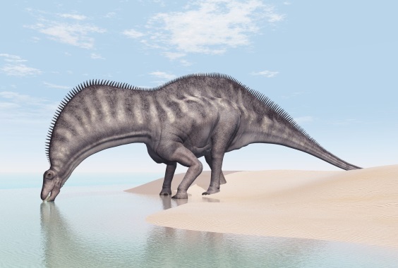 アマルガサウルスの画像