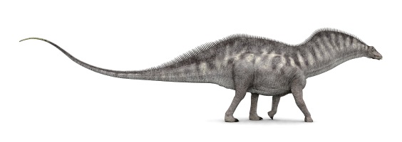 アマルガサウルスの画像2