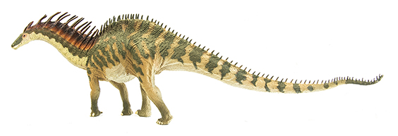 アマルガサウルスの画像3