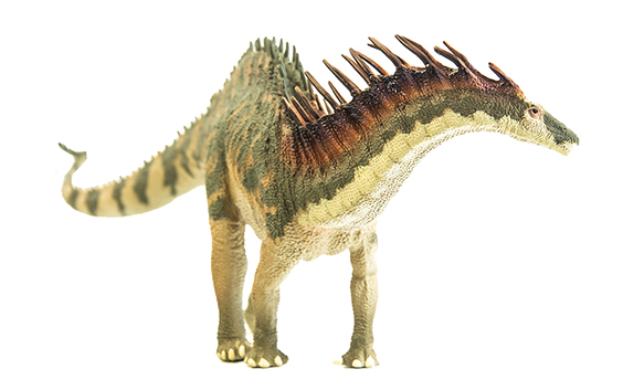 アマルガサウルスの画像4