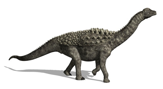 アンペロサウルスの画像