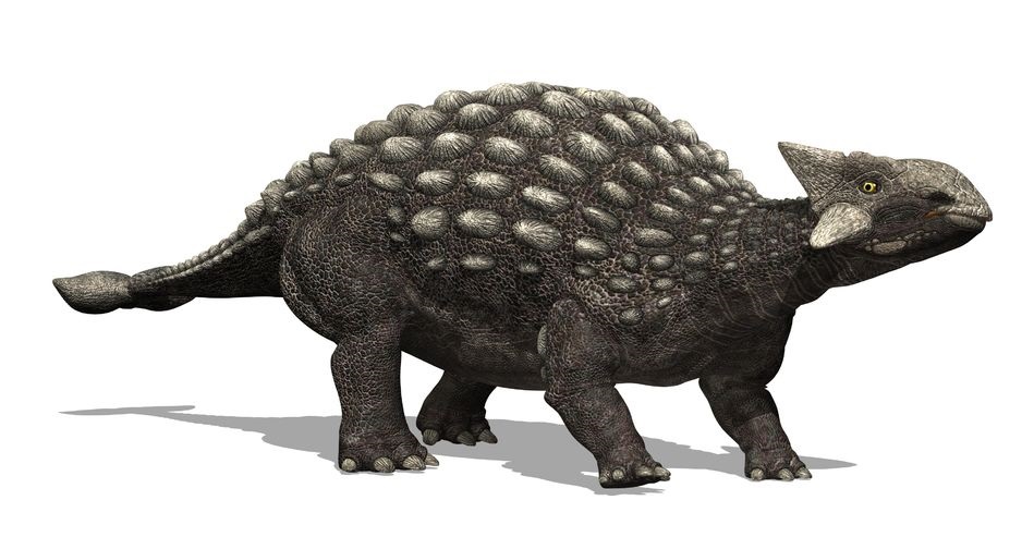アンキロサウルス Ankylosaurus 恐竜図鑑