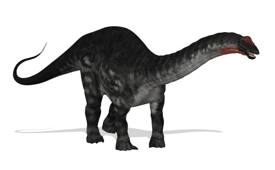 アパトサウルスの画像