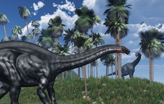 アパトサウルスの画像2