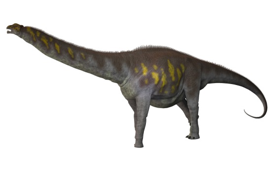 アルゼンチノサウルスの画像