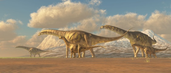 アルゼンチノサウルスの画像2