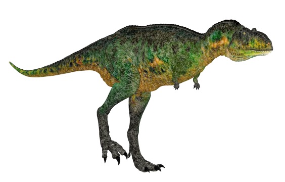 アウカサウルスの画像