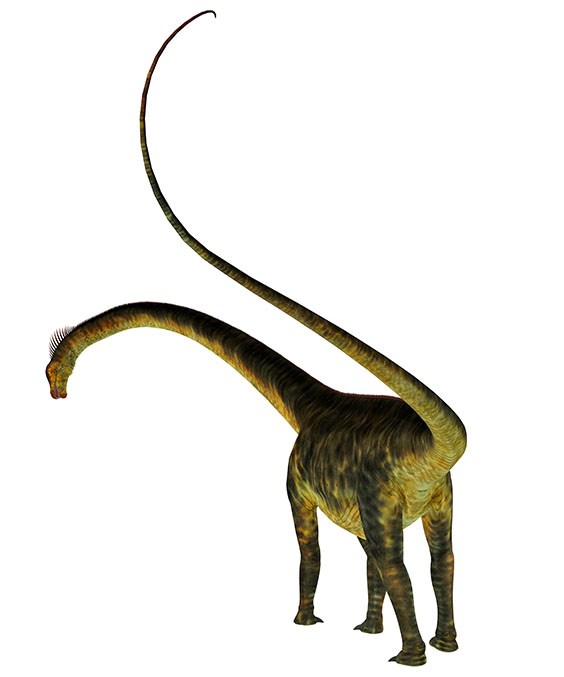 バロサウルスの画像