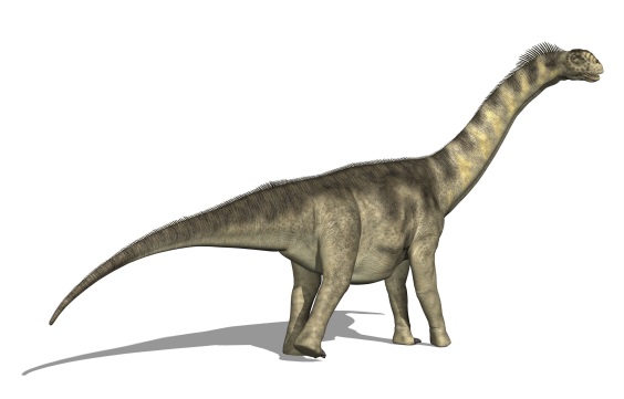 カマラサウルスの画像