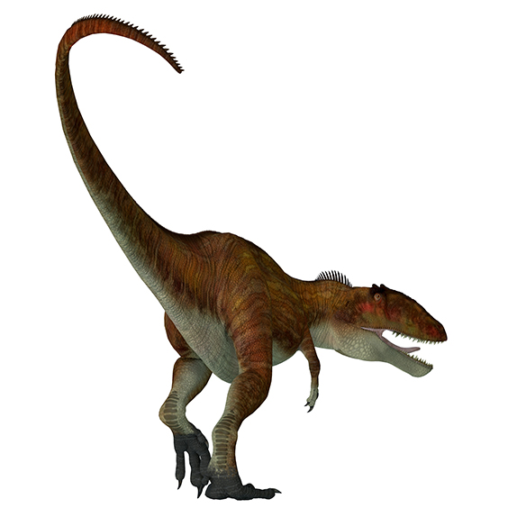 カルカロドントサウルスの画像