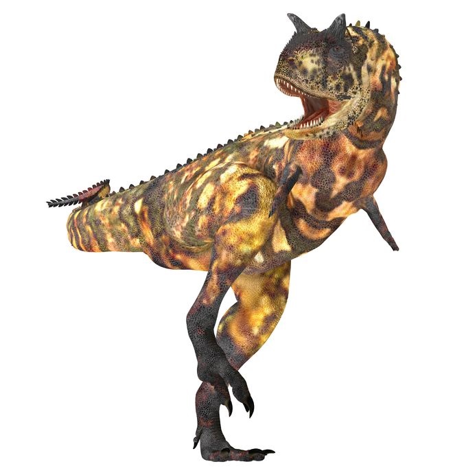 カルノタウルス Carnotaurus 恐竜図鑑