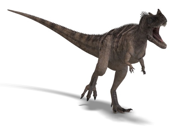 ケラトサウルスの画像