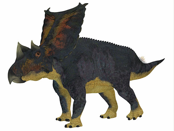 カスモサウルスの画像