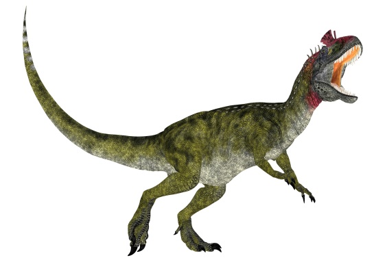 クリオロフォサウルスの画像