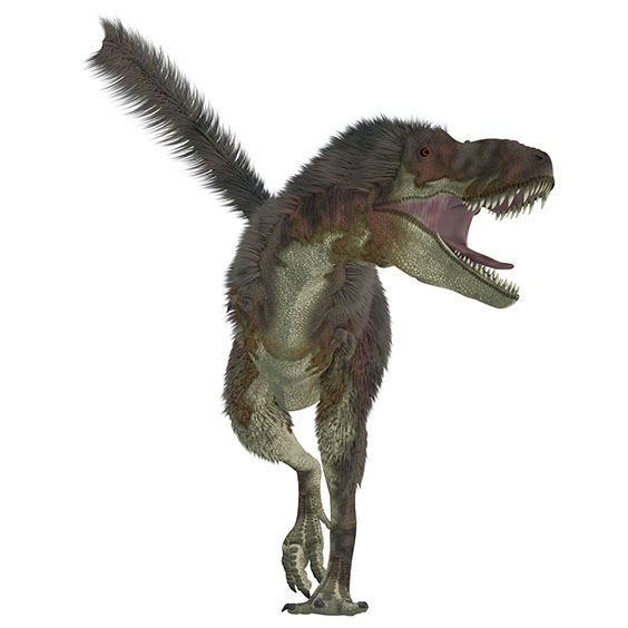 ダスプレトサウルスの画像2