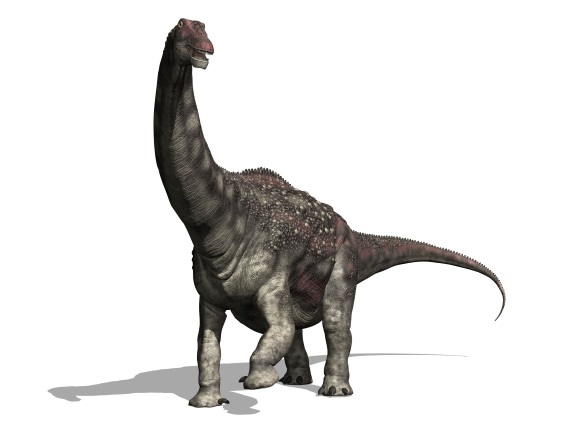 ディアマンティナサウルスの画像
