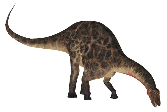 ディクラエオサウルスの画像