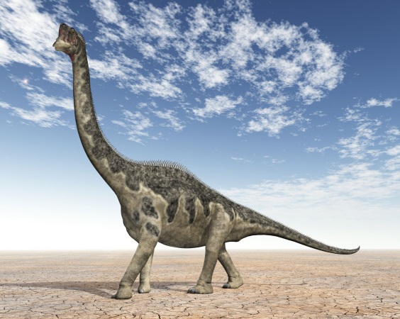 エウロパサウルスの画像