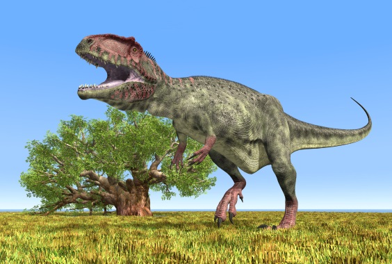 ギガノトサウルスの画像2