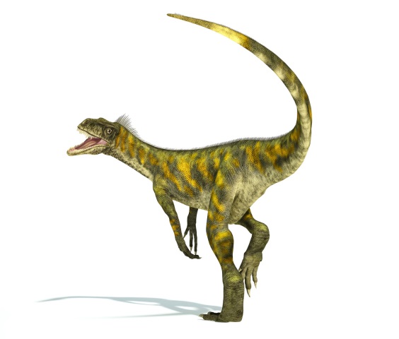 ヘレラサウルスの画像