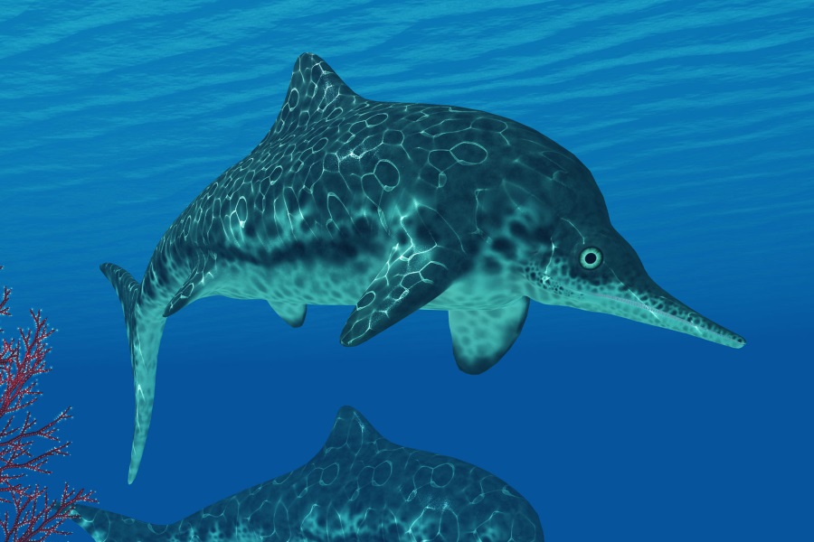 イクチオサウルス Ichthyosaurus 恐竜図鑑