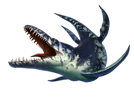 クロノサウルスの画像b