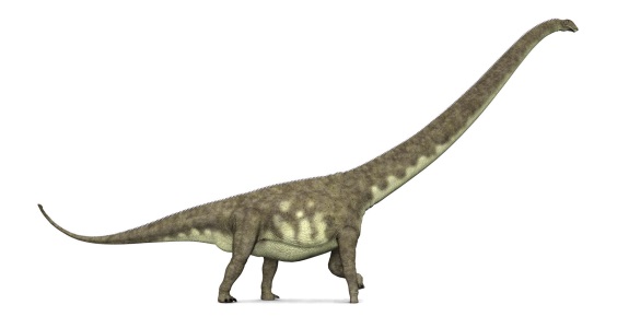 マメンチサウルスの画像