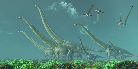 マメンチサウルスの画像3