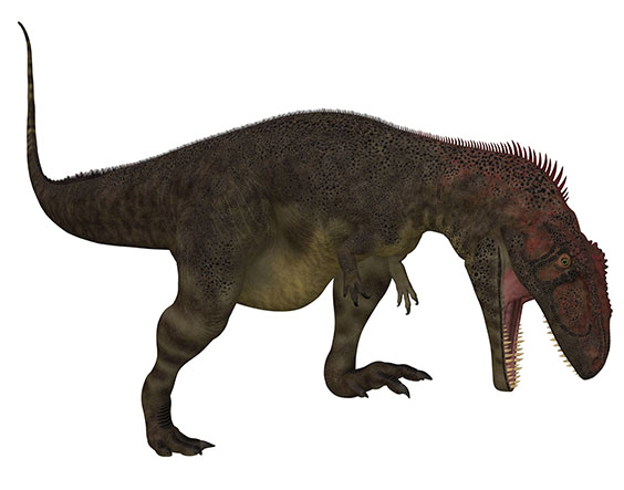 マプサウルスの画像