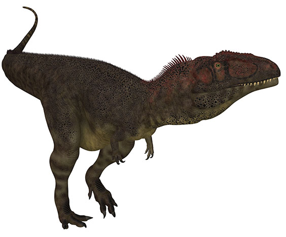 マプサウルスの画像2