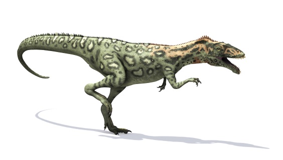 マシアカサウルスの画像