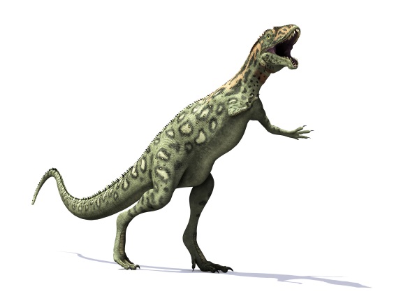 マシアカサウルスの画像2