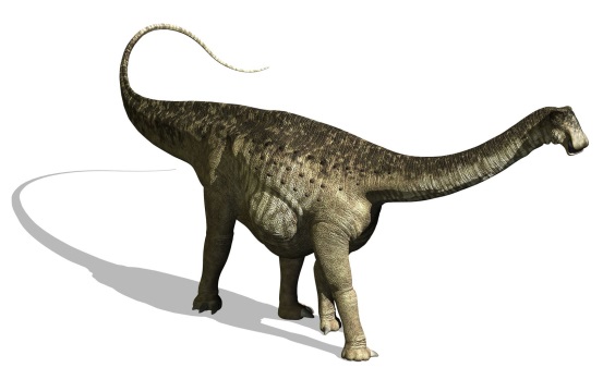 ニジェールサウルスの画像