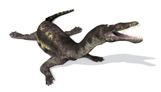 ノトサウルスの画像