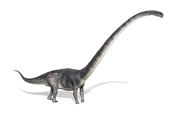 オメイサウルスの画像