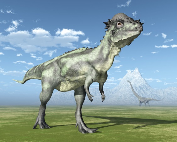 パキケファロサウルスの画像2