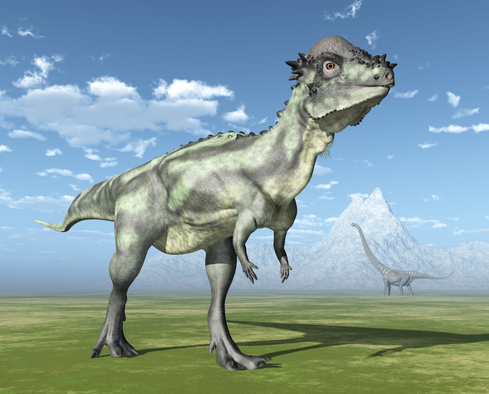パキケファロサウルス Pachycephalosaurus 恐竜図鑑