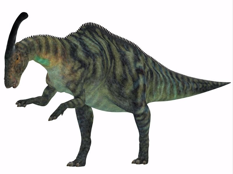 パラサウロロフス Parasaurolophus 恐竜図鑑
