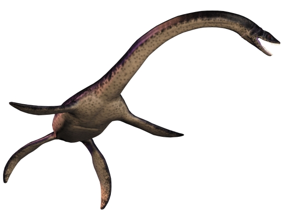 プレシオサウルスの画像