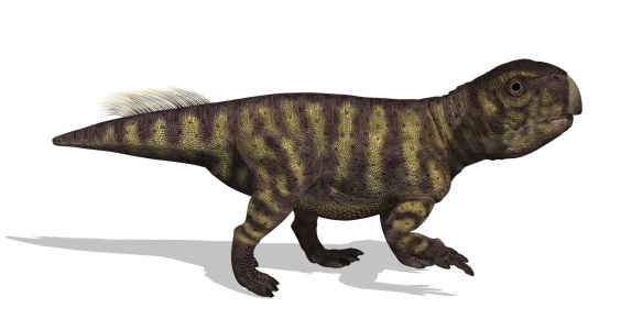 プシッタコサウルスの画像