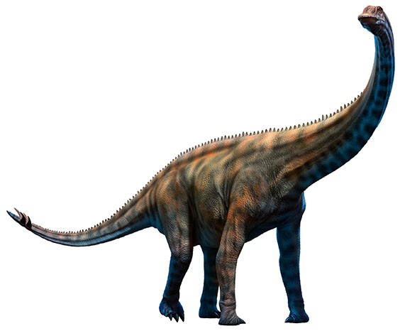 スピノフォロサウルスの画像