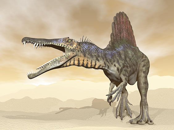 陸棲とされていた頃のスピノサウルスの画像3