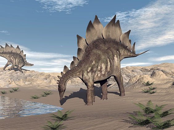 ステゴサウルスの画像2