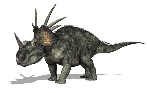 スティラコサウルスの画像