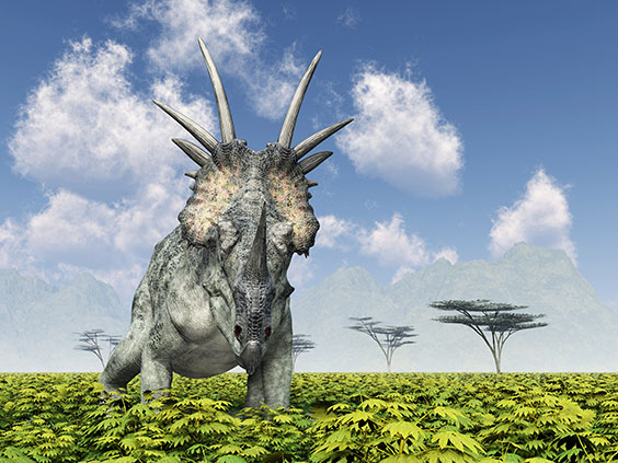 スティラコサウルスの画像2